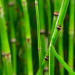 Feng Shui Map House Enhance Your Home's Energy with FENG SHUI MAP HOUSE Guide