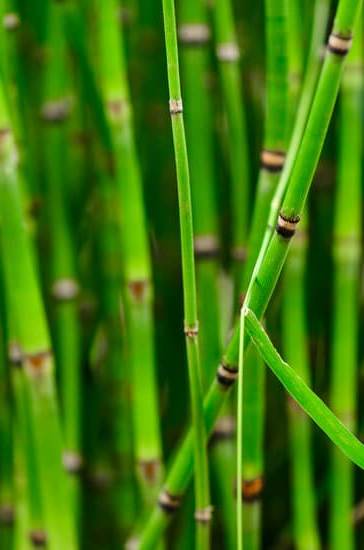 Feng Shui Map House 1 Enhance Your Home's Energy with FENG SHUI MAP HOUSE Guide