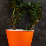 Enhance selling luck with lucky Feng Shui numbers for your house