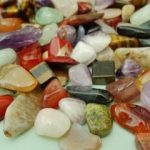 Balanced energy with cat in house feng shui