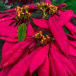 Feng Shui House Numbers Meaning Enhance harmony with Feng Shui house numbers meaning for positive energy flow