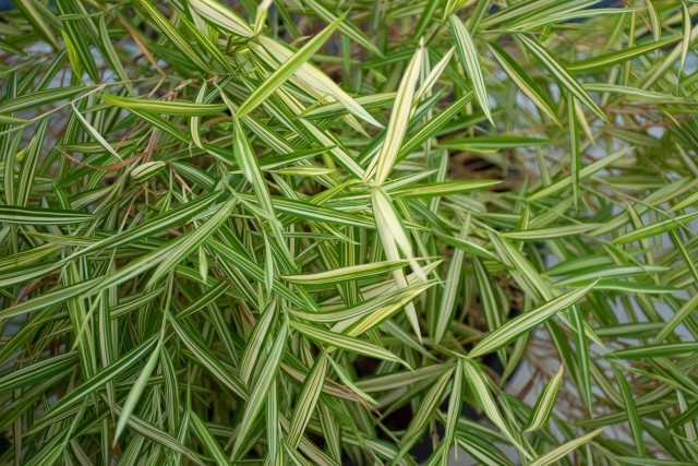 create harmony with energetic alignment