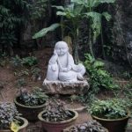 Fish Tank in House Feng Shui Enhance wealth and prosperity with a well-placed fish tank in your house - Feng Shui approved