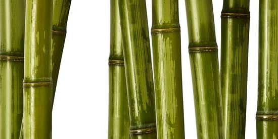 Feng Shui and the Number 17 House Number 1 Embrace Positive Energy with Number 17 House Number