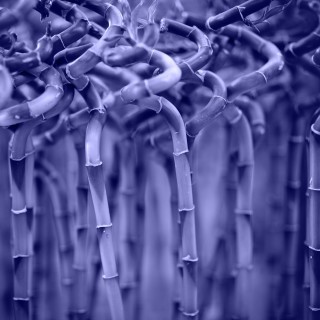 Good Feng Shui Paintings Bedroom 1 Auspicious Feng Shui paintings for bedroom harmony and balance