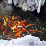 serene blues and grays for balance