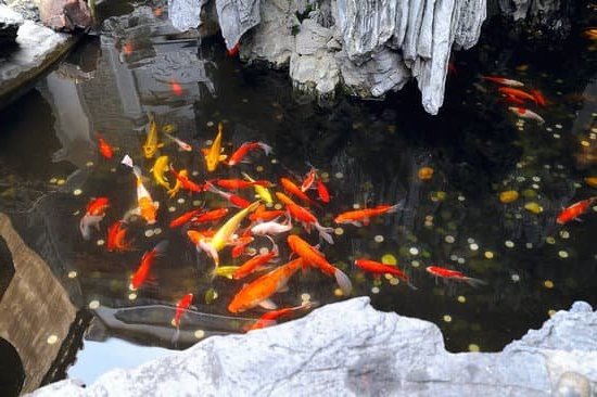 Feng Shui Northwest Bedroom Color 1 serene blues and grays for balance