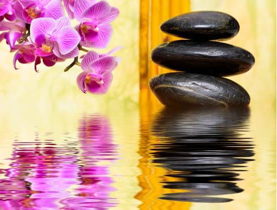 Positive Energy Feng Shui Plants in Bedroom 1 Enhance bedroom vibes with positive energy feng shui plants - perfect for tranquility and balance